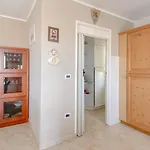 Apatrment Camilla Bužinija